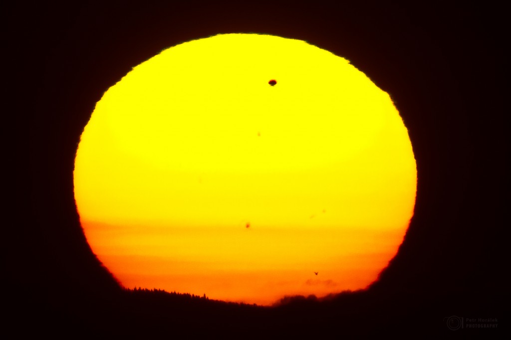 Rising Sun with Venus, spot and far bird