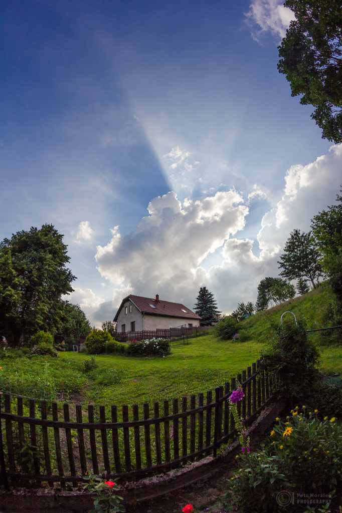 The sun rays
