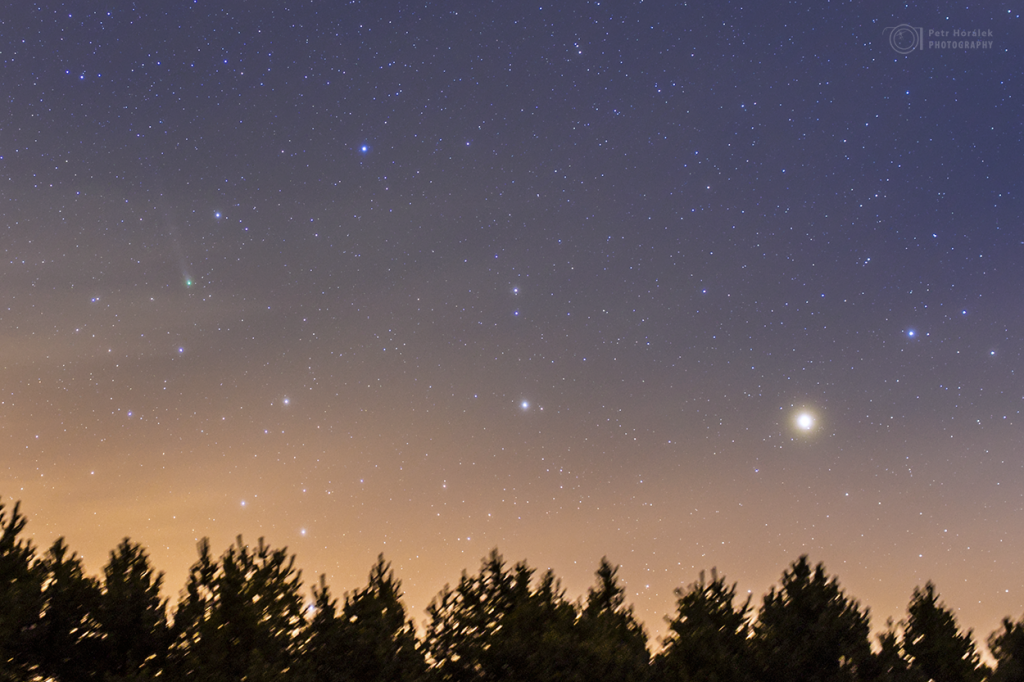 Comet Lovejoy in Bootes