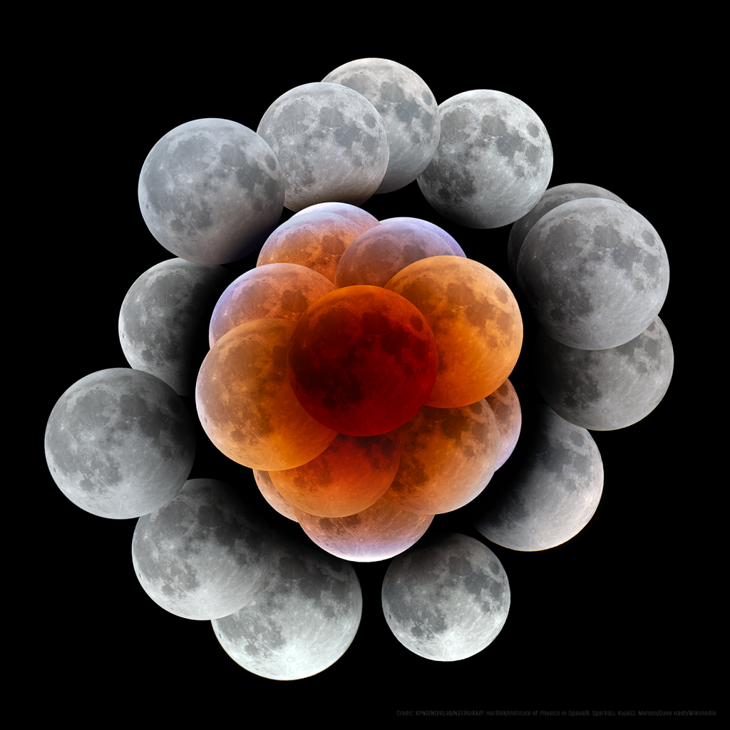 Lunar Eclipses Flower