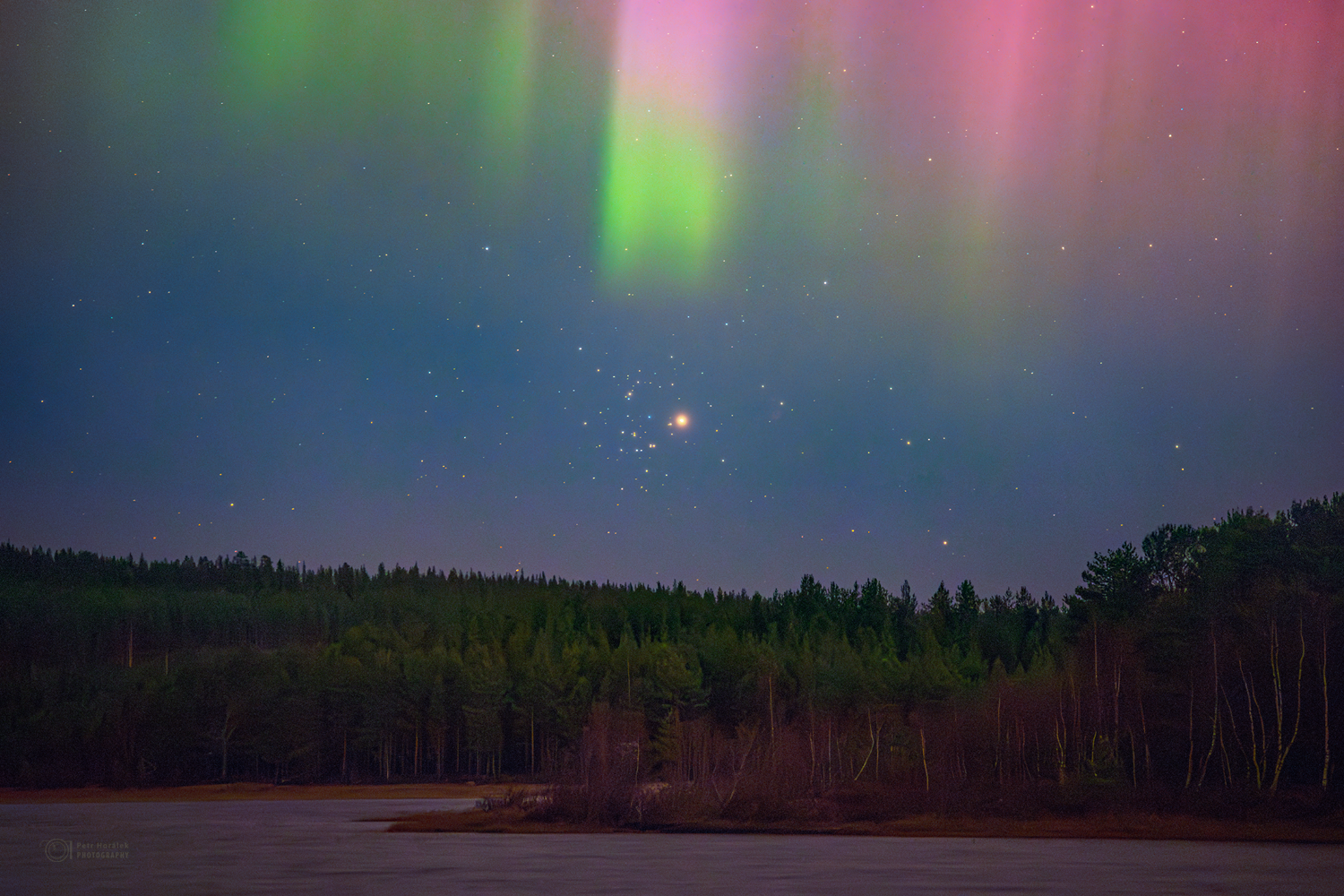 Mars in Beehive under the Auroral Curtain