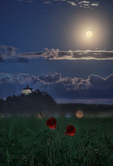 Měsíc, hrad a vlčí mák Měsíc, hrad a vlčí mák