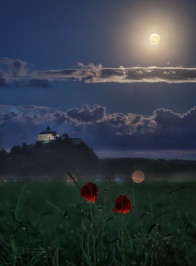 Měsíc, hrad a vlčí mák Měsíc, hrad a vlčí mák