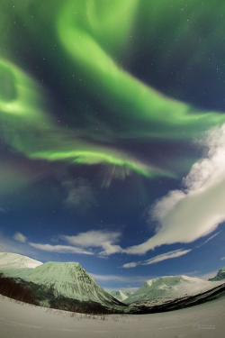 Auroras over Tromsø