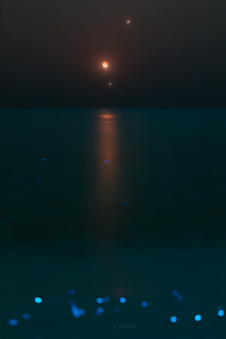 Moon, Venus and Jupiter conjuction on 22 February 2023 over Thoddoo Island.