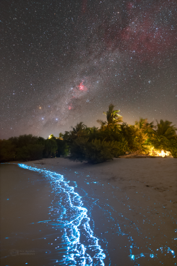 Stron plankton actvivity on 14 February 2023 at the Soneva Jani Island