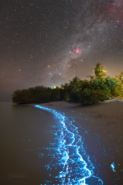 Stron plankton actvivity on 14 February 2023 at the Soneva Jani Island