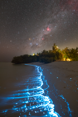 Stron plankton actvivity on 14 February 2023 at the Soneva Jani Island