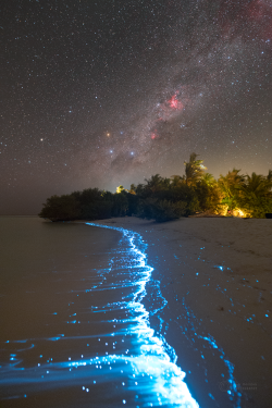 Stron plankton actvivity on 14 February 2023 at the Soneva Jani Island