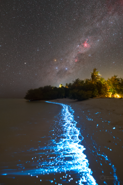 Stron plankton actvivity on 14 February 2023 at the Soneva Jani Island