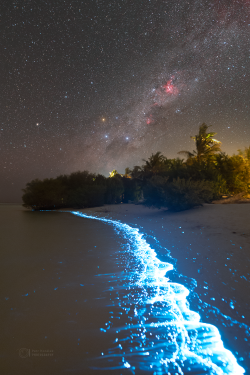 Stron plankton actvivity on 14 February 2023 at the Soneva Jani Island