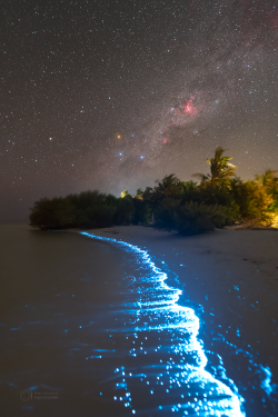 Stron plankton actvivity on 14 February 2023 at the Soneva Jani Island