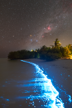 Stron plankton actvivity on 14 February 2023 at the Soneva Jani Island