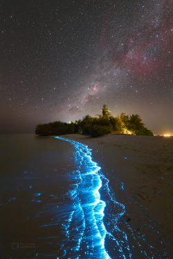 Stron plankton actvivity on 14 February 2023 at the Soneva Jani Island