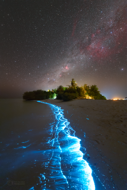 Stron plankton actvivity on 14 February 2023 at the Soneva Jani Island