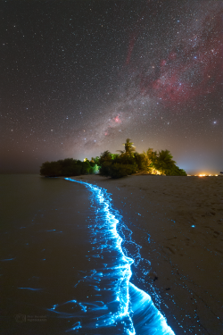 Stron plankton actvivity on 14 February 2023 at the Soneva Jani Island