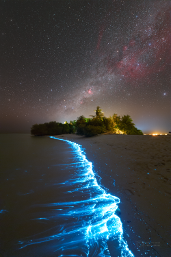 Stron plankton actvivity on 14 February 2023 at the Soneva Jani Island