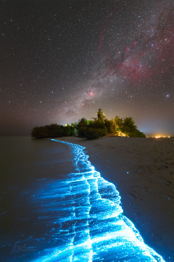 Stron plankton actvivity on 14 February 2023 at the Soneva Jani Island