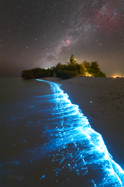 Stron plankton actvivity on 14 February 2023 at the Soneva Jani Island
