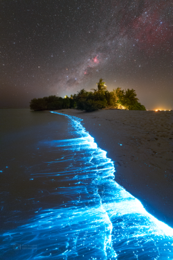 Stron plankton actvivity on 14 February 2023 at the Soneva Jani Island
