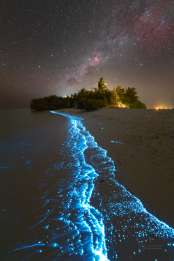 Stron plankton actvivity on 14 February 2023 at the Soneva Jani Island