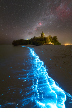 Stron plankton actvivity on 14 February 2023 at the Soneva Jani Island
