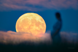 New Life Moon New Life Moon
