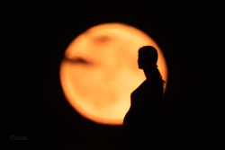 New Life Moon New Life Moon