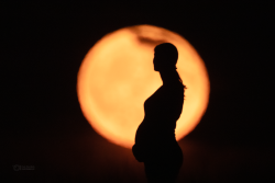 New Life Moon New Life Moon