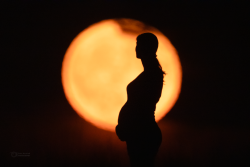 New Life Moon New Life Moon