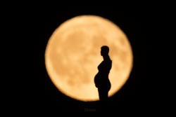 New Life Moon New Life Moon