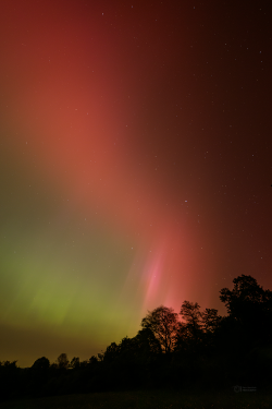 Aurora Borealis over Záhořice, Czech Republic, on 10-11 May, 2024