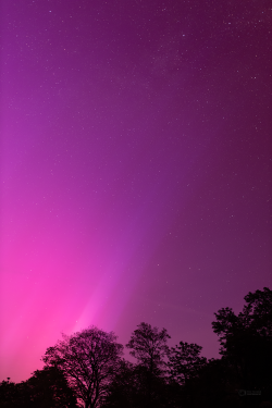 Aurora Borealis over Záhořice, Czech Republic, on 10-11 May, 2024