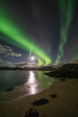 Norway Auroras of September 2022 Norway Auroras of September 2022