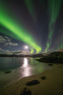 Norway Auroras of September 2022 Norway Auroras of September 2022
