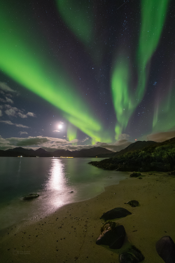 Norway Auroras of September 2022 Norway Auroras of September 2022