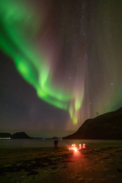 Norway Auroras of September 2022 Norway Auroras of September 2022