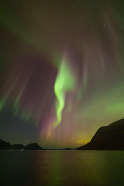 Norway Auroras of September 2022 Norway Auroras of September 2022