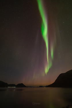Norway Auroras of September 2022 Norway Auroras of September 2022