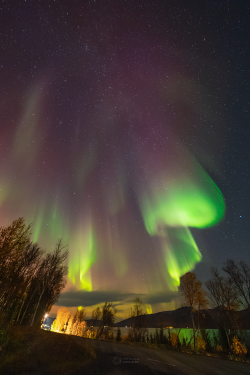 Norway Auroras of September 2022 Norway Auroras of September 2022