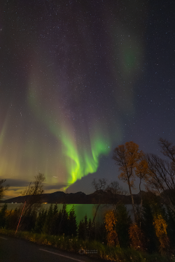 Norway Auroras of September 2022 Norway Auroras of September 2022