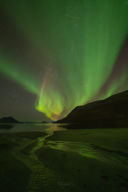 Norway Auroras of September 2022 Norway Auroras of September 2022