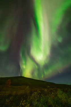Norway Auroras of September 2022