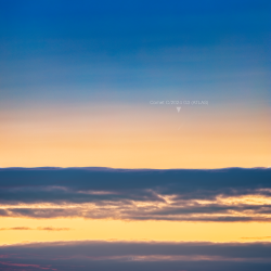 Comet C/2024 G3 (ATLAS) before sunrise Comet C/2024 G3 (ATLAS) before sunrise