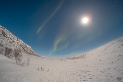 Auroras over Kilpisjärvi, Finland, on 9/10 February 2025