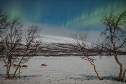 Auroras over Kilpisjärvi, Finland, on 9/10 February 2025