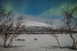 Auroras over Kilpisjärvi, Finland, on 9/10 February 2025