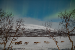 Auroras over Kilpisjärvi, Finland, on 9/10 February 2025