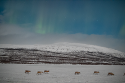 Auroras over Kilpisjärvi, Finland, on 9/10 February 2025