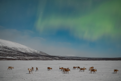 Auroras over Kilpisjärvi, Finland, on 9/10 February 2025